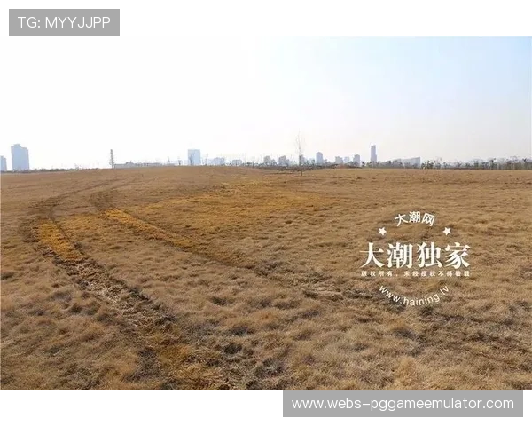 裁判赛前检查草皮加热系统，积雪坠落风险成取消依据